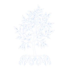Main Node
